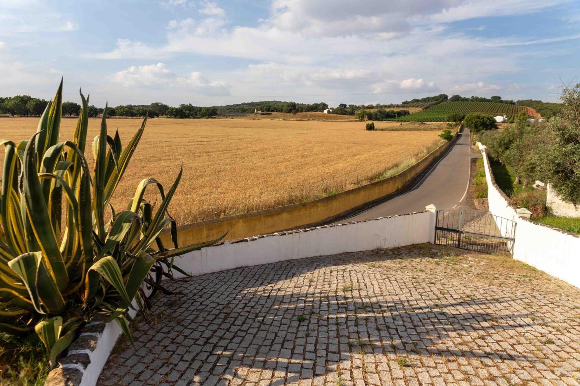 Monte Das Oliveiras - Casas De Campo Estremoz Eksteriør billede