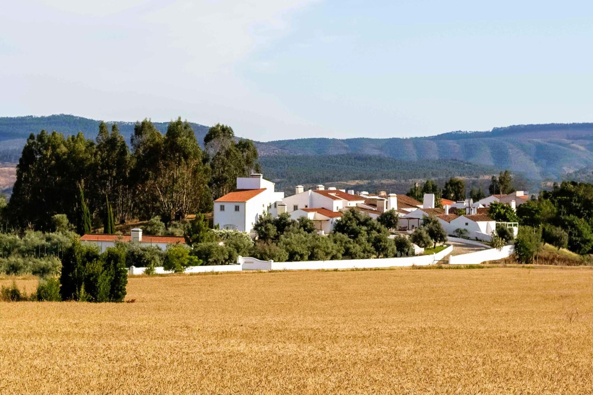 Monte Das Oliveiras - Casas De Campo Estremoz Eksteriør billede